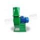 WMT5 CELMA