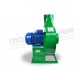 WMT5 CELMA