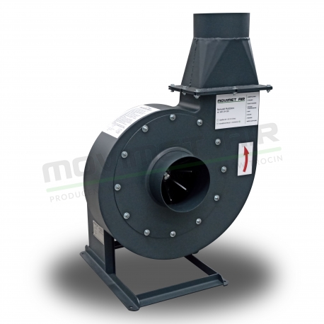 WMT-3